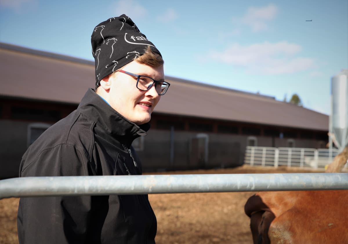 Matti Marttila seisoo lehmähaassa Jalasjärvellä.