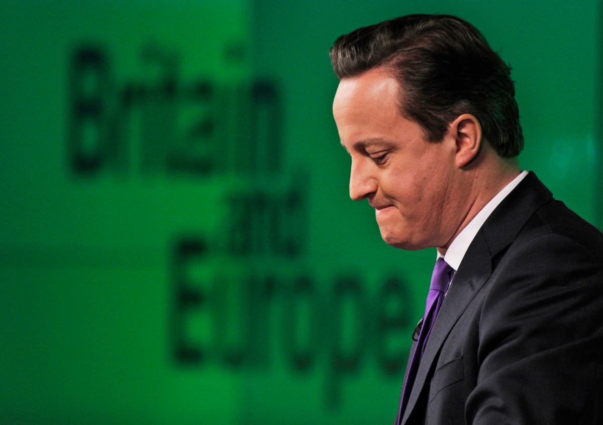 David Cameron 23.1.2013