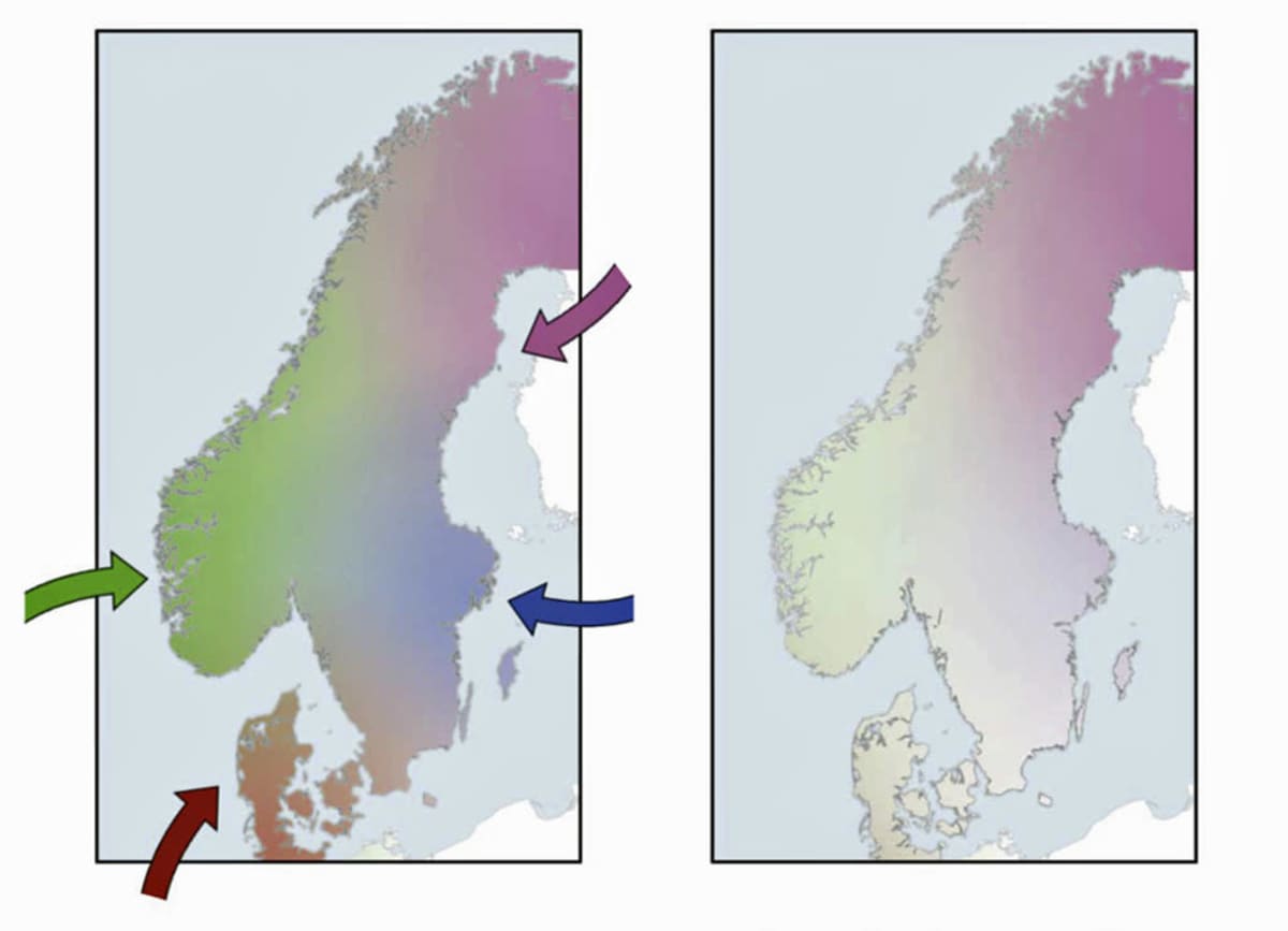 Laaja DNA-tutkimus: viikinkiajan Skandinaviasta ei vain lähdetty  maailmalle, vaan myös tulokkaiden määrässä oli selvä piikki