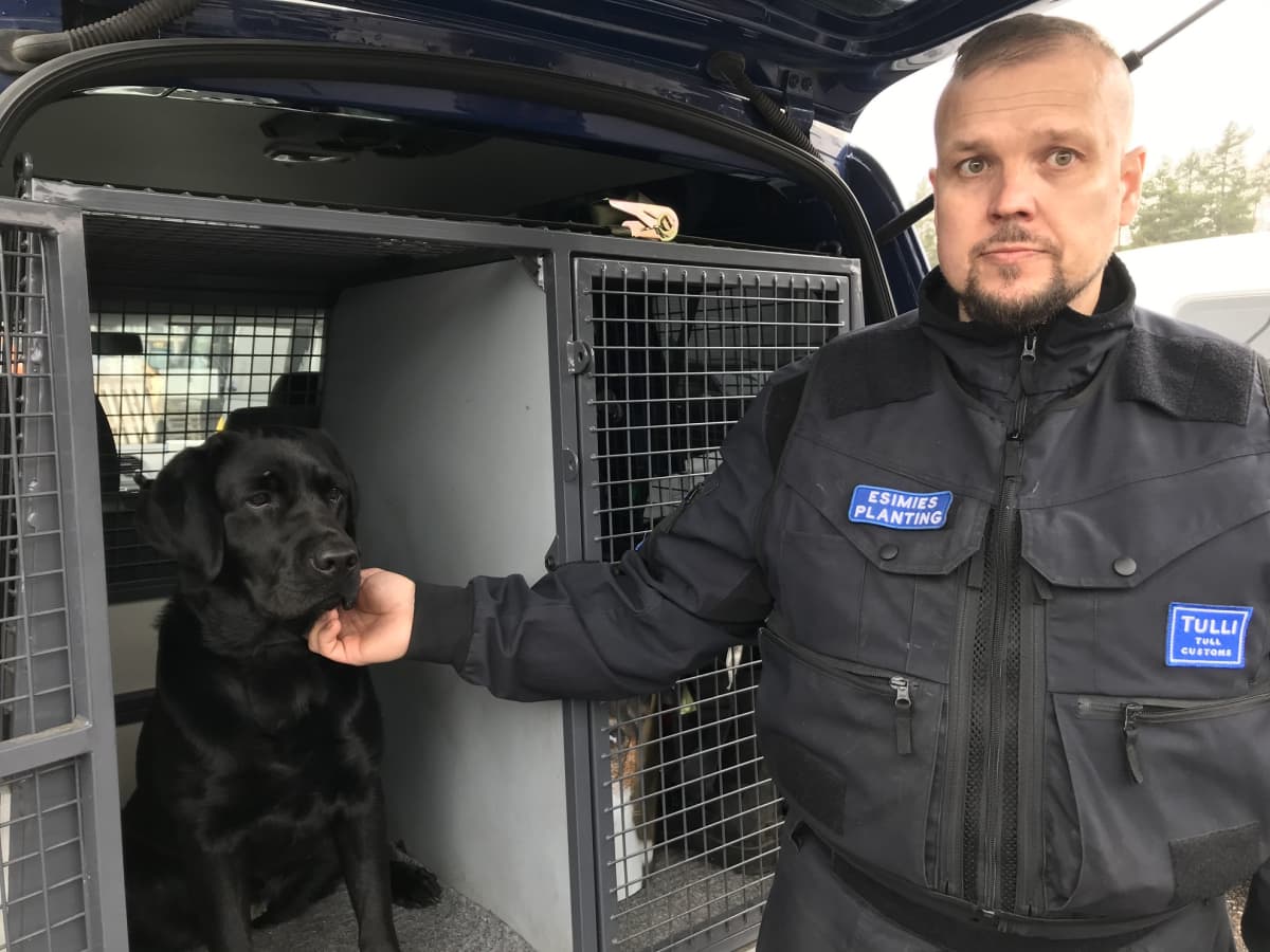 Jussi Planting ja tullikoira Jutta, joka on Venäjän valtion lahja Tullin 25-vuotisesta yhteistyöstä. Planting rapsuttaa koiraansa.