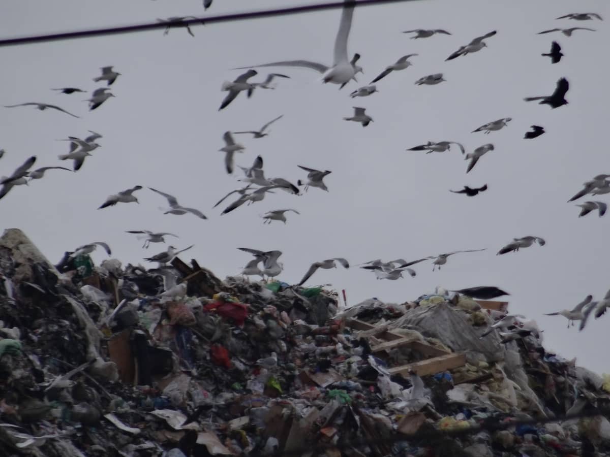 Venäjällä on sadoittain ympäristölle vaarallisia kaatopaikkoja