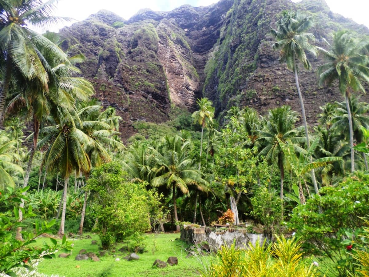 Taustalla jylhä vuori, etualalla vihreää viidakkoa palmuineen