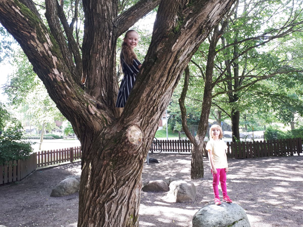 Kaisla Knuth, Sophia Kiprianoff puussa