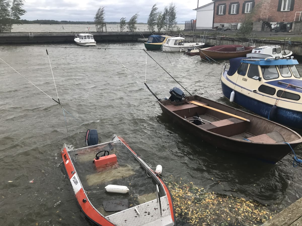 Myrskytuhoja Porin Reposaaressa