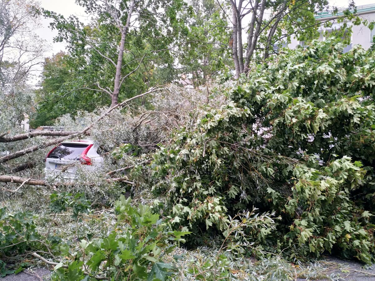 Auto jäänyt Vaasassa puun alle, Aila-myrsky 17.9.20