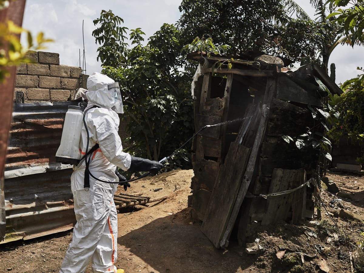 A worker wearing protective equipment sprays a disinfectant into an Ebola patient's garden shed.