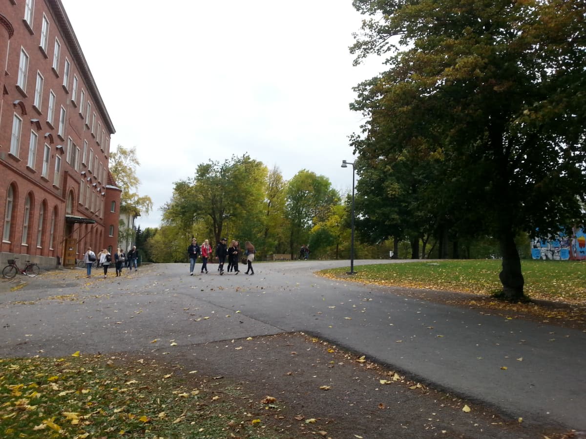 Oppilaita Luostarivuoren lyseon lukion ja yläkoulun pihalla puiston varrella. 