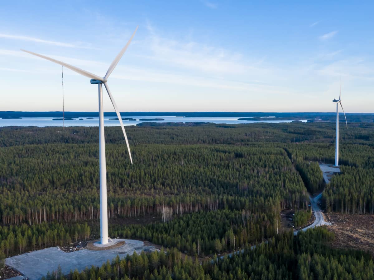 Wind farms in the forest. 