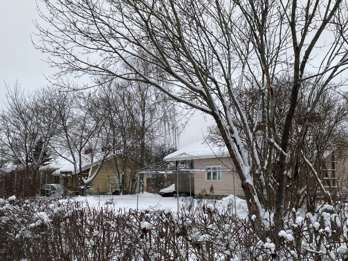 Tampereen Asevelikylän puutaloja talvella