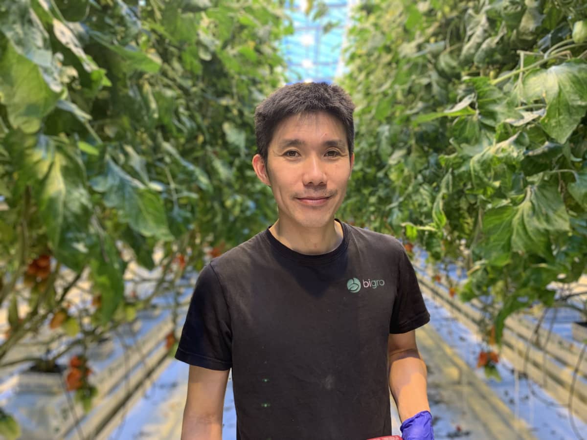 Mansperson av vietnamesiskt ursprung ler in i kameran. I bakgrunden växthusmiljö med synliga tomatplantor.