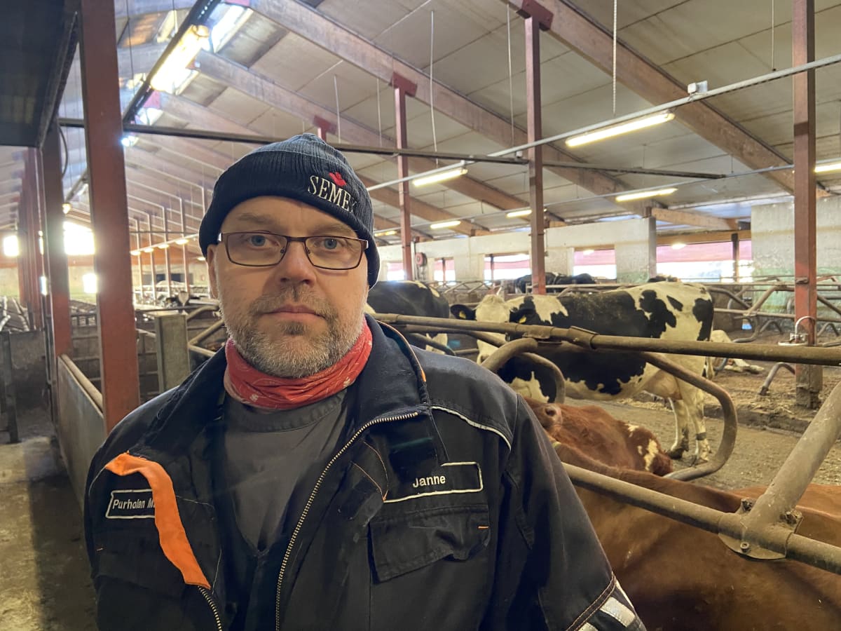 Maatalousyrittäjä Janne Puttonen vakavan näköisenä kuvattuna navetassa. 