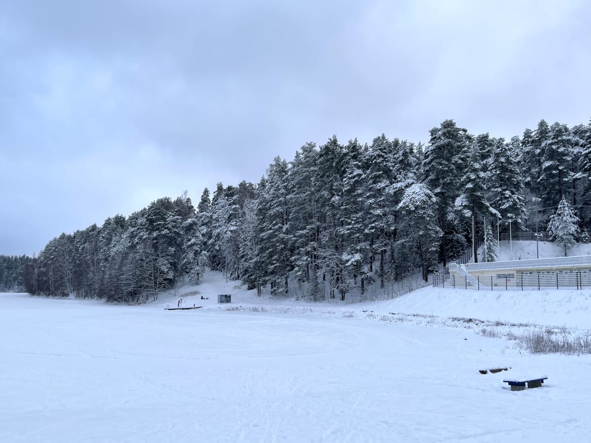 Talvinen Ahvenistonjärvi. Taustalla harjun puita peittää lumi.