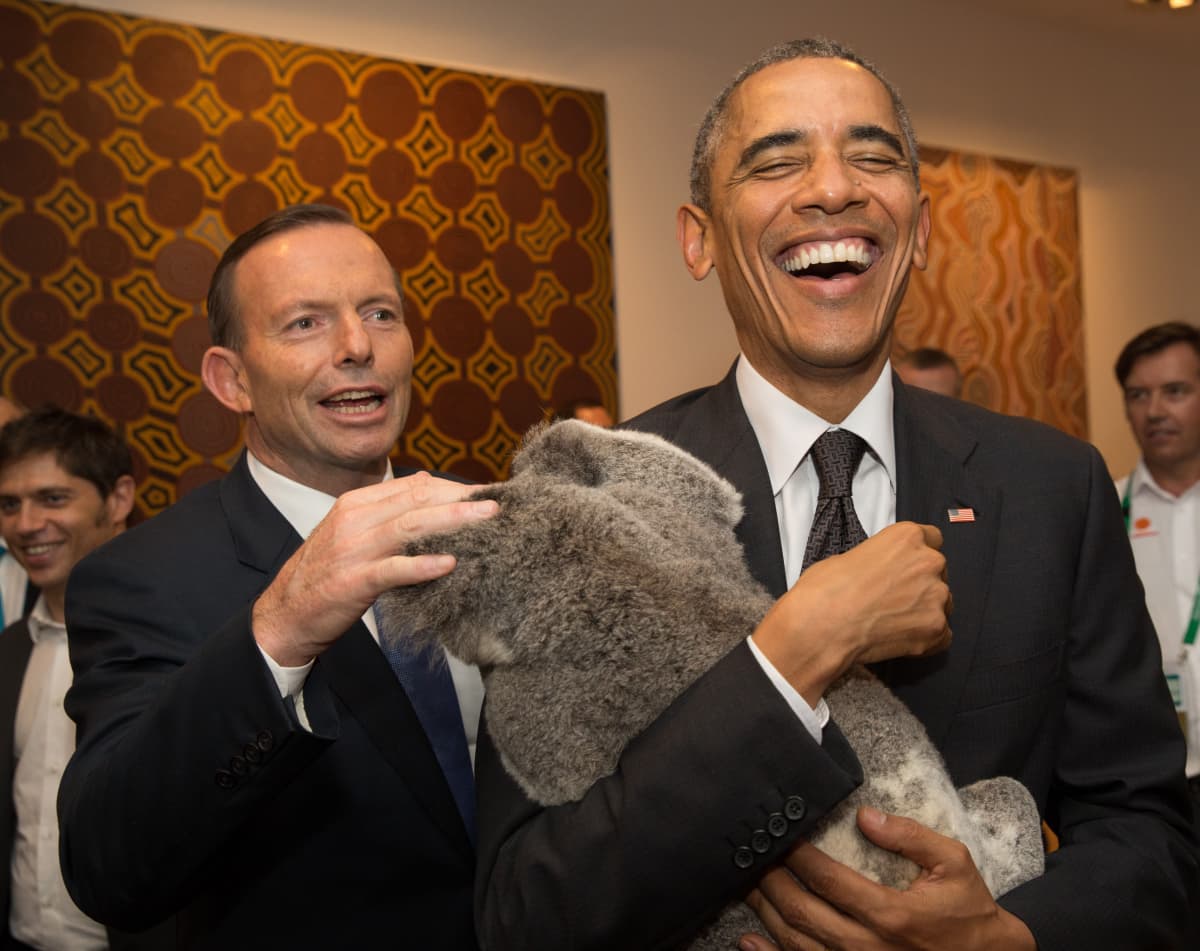 Kaksi miestä ja koala