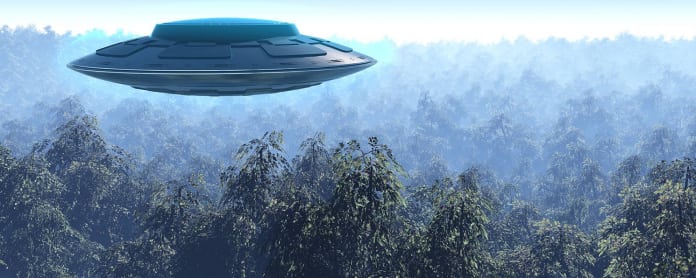 Ufo metsän yllä.