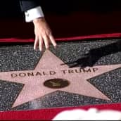 Trumpin tähti tuhottiin Hollywoodissa, tällä kertaa kyseessä hakkua heiluttanut mies