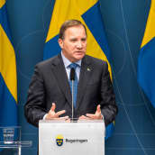 Ruotsin pääministeri Löfvenin lehdistötilaisuus