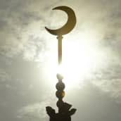Muslimien kuu -symboli moskeijan katolla