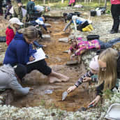 Koululaisia tekemässä arkeologisia kaivauksia.