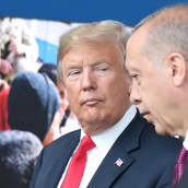 Presidentit Donald Trump ja Recep Tayyip Erdogan kuvattuna Naton päämajassa Brysselissä heinäkuussa 2018.