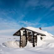Moni lähtee lappiin upeiden luontokuvien perässä. Kuvassa lumen peittämä hirsimökki Kevolla.