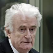 Radovan Karadžićin tuomio koventui keskiviikkona elinkautiseksi.