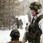 Suomalaiset sotilaat viiden maan sotilasharjoituksessa Kalixissa Ruotsissa.