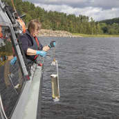 Ympäristökeskuksen tutkija ottaa vesinäytettä Laatokasta.