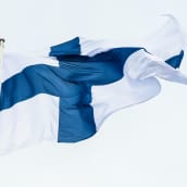 Suomen lippu tangossa.