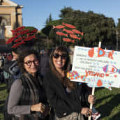 Ihmiset osallistuivat "sardiini"mielenosoitukseen Roomassa 14. joulukuuta. 