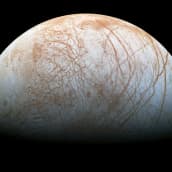 Nasan välittämä kuva Jupiterin Europa-kuusta. 