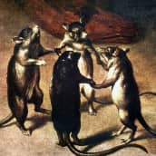 Rottien tanssi -maalaus