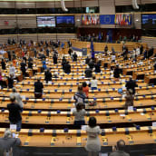 EU-parlamentti, täysistunto