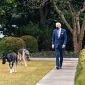 Joe Biden käyskenteli Valkoisen talon puutarhassa.