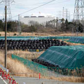 Saastunutta maata säkeissä ja takana Fukushima Daiichi ydinvoimala. 17.2.2021. 