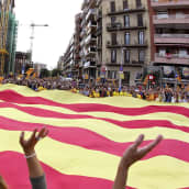 Katalonian epävirallinen lippu