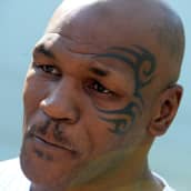 Mike Tyson lähikuvassa.