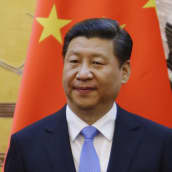 Xi Jingping kiinan lipun edessä.