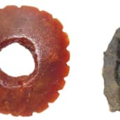Kierikkikeskuksen kivikautisen kylän kaivauksissa löydetty pihkakoru ja koivuntuohitervan kappale, jota on käytetty purukumina noin 5 500 vuotta sitten.