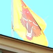Lippu katolla. Lipussa keltaisella pohjalla karhun kuva.