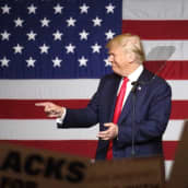Republikaanien presidenttiehdokas Donald Trump kampanjoi Floridassa 13.10.2016