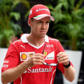Sebastian Vettel Sepangin radan varikolla.