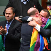 Australian parlamentin alahuone hyväksyi sukupuolineutraalin avioliittolain