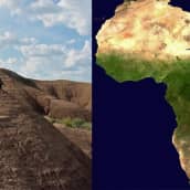 Vasemmalla so hiekkakukkula, jonka päällä istuu mies. Oikealla Afrikan kartta, johon löytöalue on merkitty nykyisen Etiopian paikkeille. 