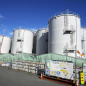 Fukushiman ydinvoimalan varastosäiliöitä.