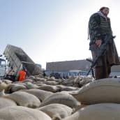 Vartija viljasäkkien luona Afganistanissa. 