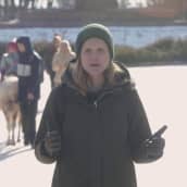 Yle kysyi kiovalaisilta, mitä Putin tavoittelee uhkailulla