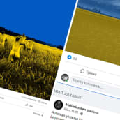 Monet yritykset ovat kuluneen kahden viikon aikana julkaisseet sini-keltaisia kuvia ja ottaneet kantaa Ukrainan puolesta. Tämä on luontevaa yrityksille, joiden arvot ovat selviä, arvioi someviestinnän asiantuntija Pinja Lehtman.