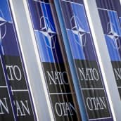 Suomen ja Ruotsin keskustapuolueet puhuvat Natosta