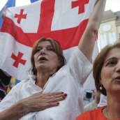 Mielenosoittajat kokoontuivat Georgian parlamentin edustalle heiluttaen Georgian, Ukrainan ja EU:n lippuja