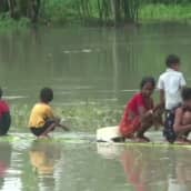 Tulvat piinaavat Intiaa ja Bangladeshia